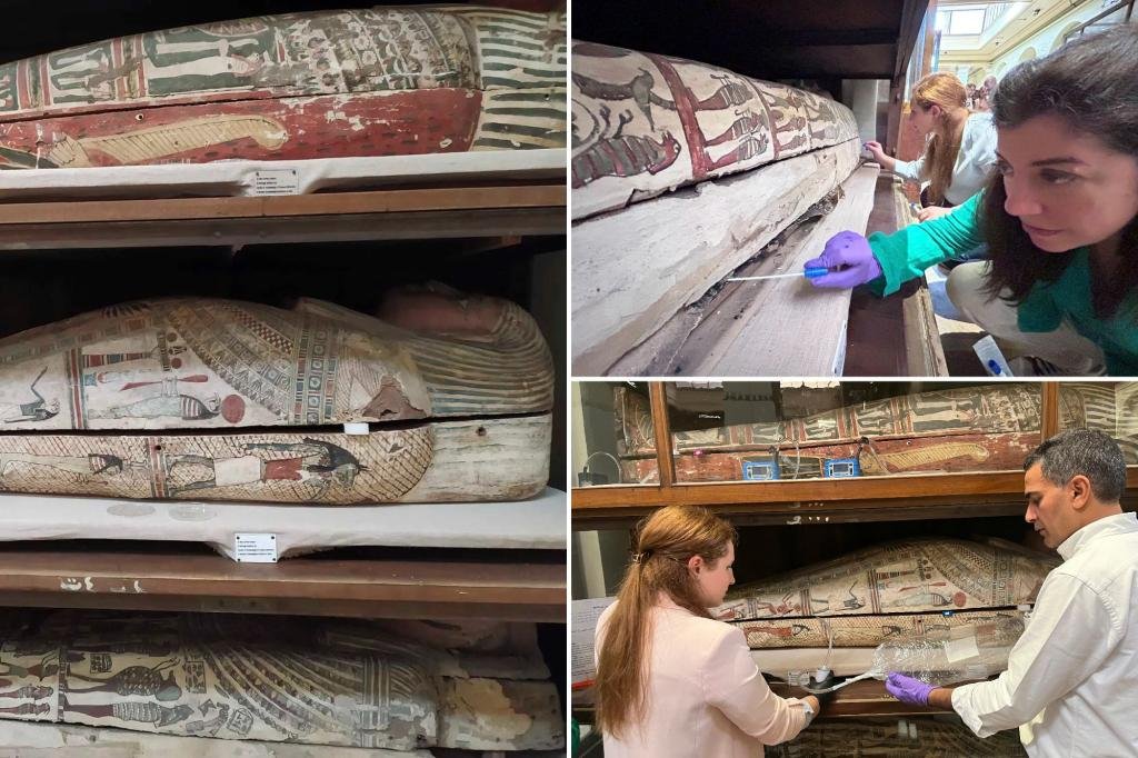Researchers received a noise of Egyptian mummies for science – they ‘provided by their pleasure’
