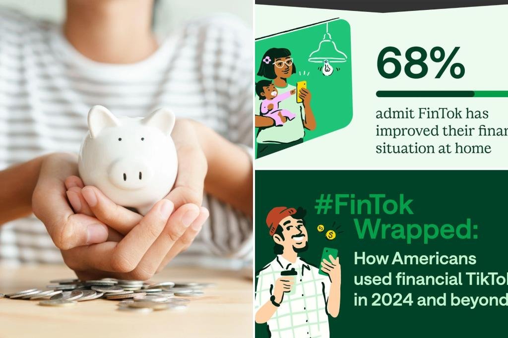 How Americans Fintok used – TIKTOK Financial version – in 2024