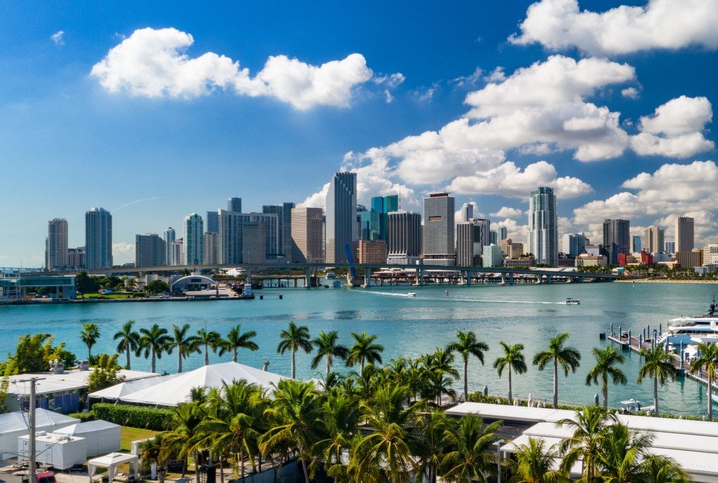 In the center of the city of Miami Skyline looked at a low altitude, displaying the palm trees and bay of Biscayne in the foreground, representing the market changes of post-candidemic housing in Southern Florida.